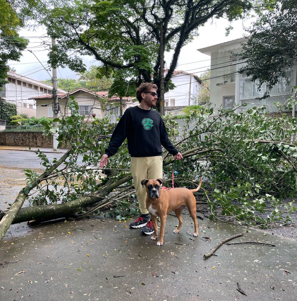 Matheus e Silvia posando ao lado de uma árvore caída na praça 