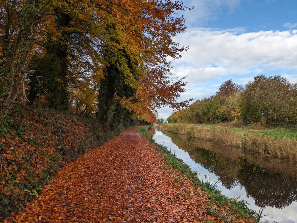 The barrow blueway covered by autumn coloured leaves