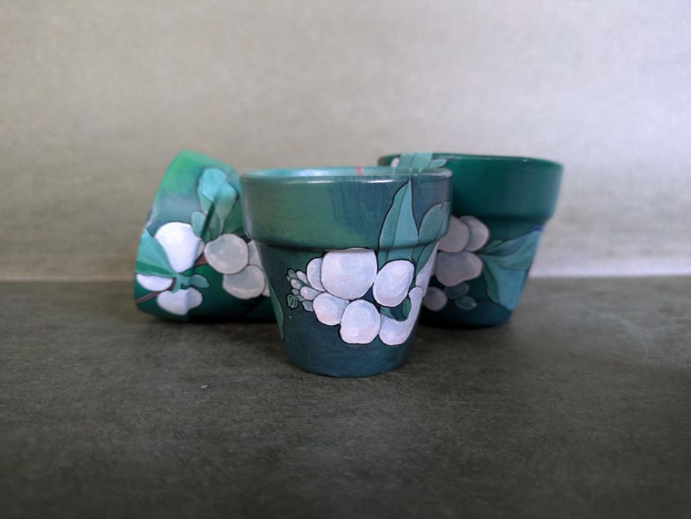 3 2" snowberry pots