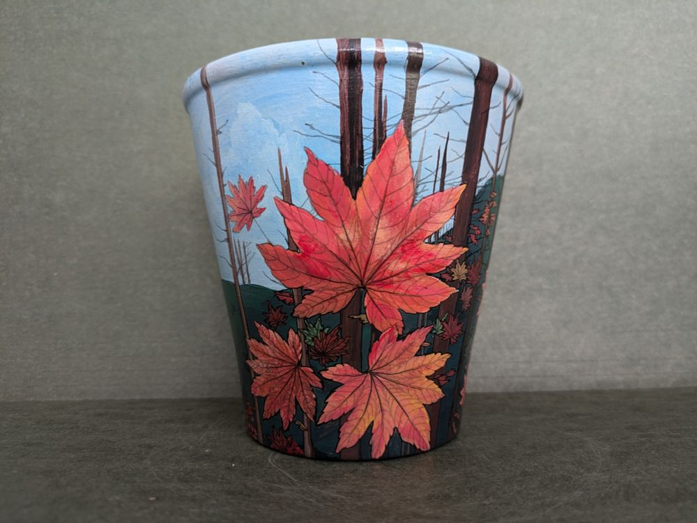 Vine maple