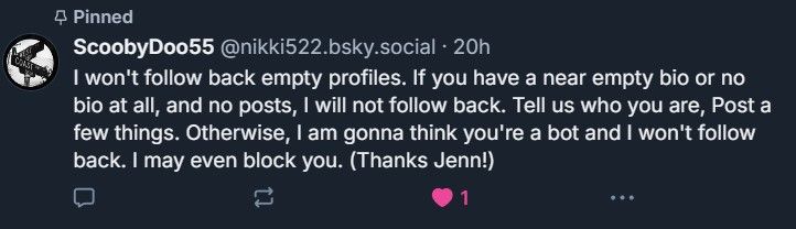 A picture of a prior post of mine that says "I won't follow back empty profiles. If you have a near empty bio or no bio at all, and no posts, I will not follow back. Tell us who you are, Post a few things. Otherwise, I am gonna think you're a bot and I won't follow back. I may even block you. (Thanks Jenn!)" 