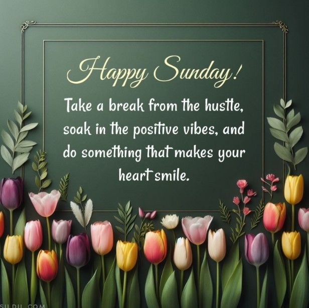 Green background with a row of tulips in the front with white letters reading : Happy Sunday! Take a break from the hustle, soak in the positive vibes, and do something that makes your heart smile. - Image from sildil.com