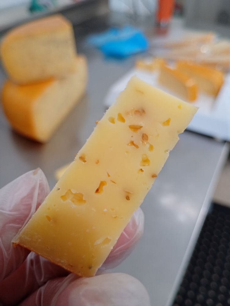 small piece of cheese in my gloved fingers
