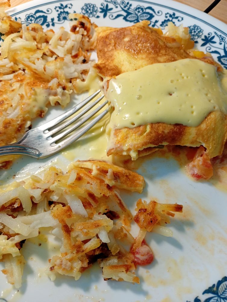 everything is better with hollandaise!