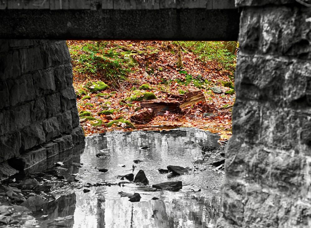 A photograph I took under a bridge quite a few ago. This was then processed in the Color Splash app to make it black and white and then the area on the other side of the bridge was brought back to color to match the limerick.