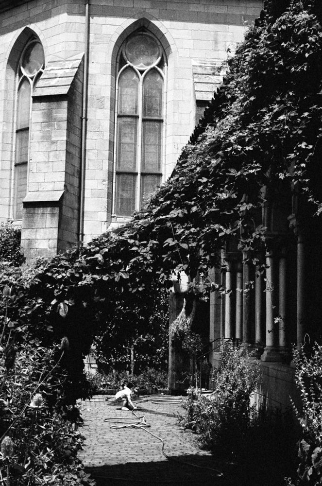 An archway made of hops vines crosses the frame from left to right
Seen through the arch is a child playing
In the background is part of the castle that is the cloisters in nyc