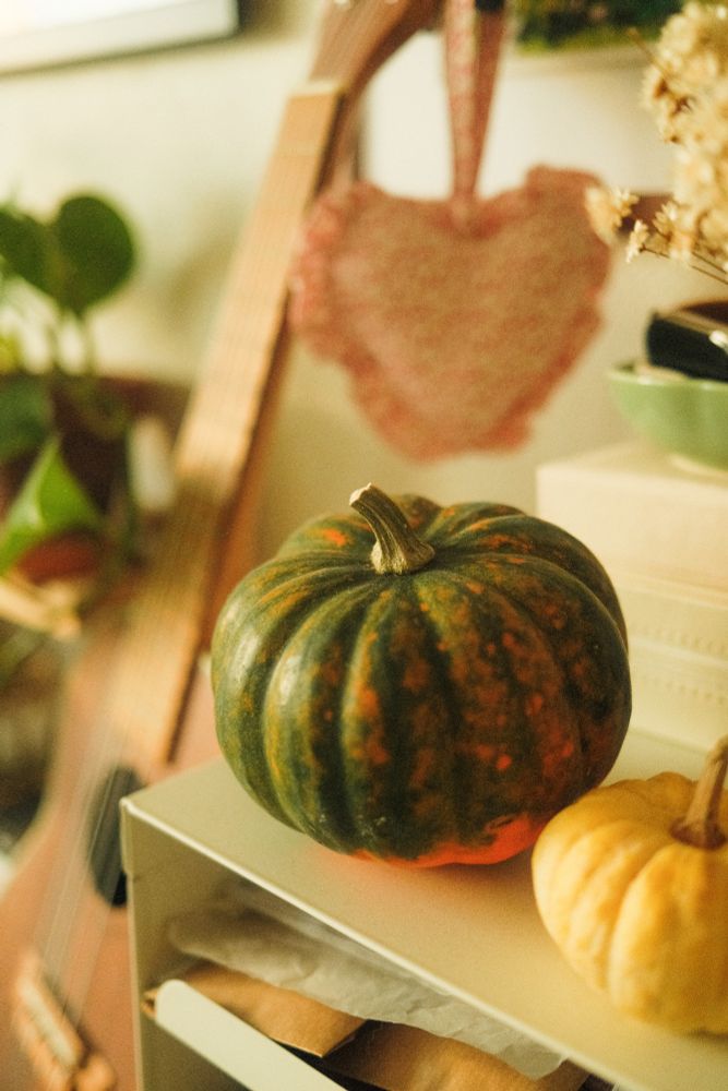 A photo of 2 small pumpkins, one green and one yellow