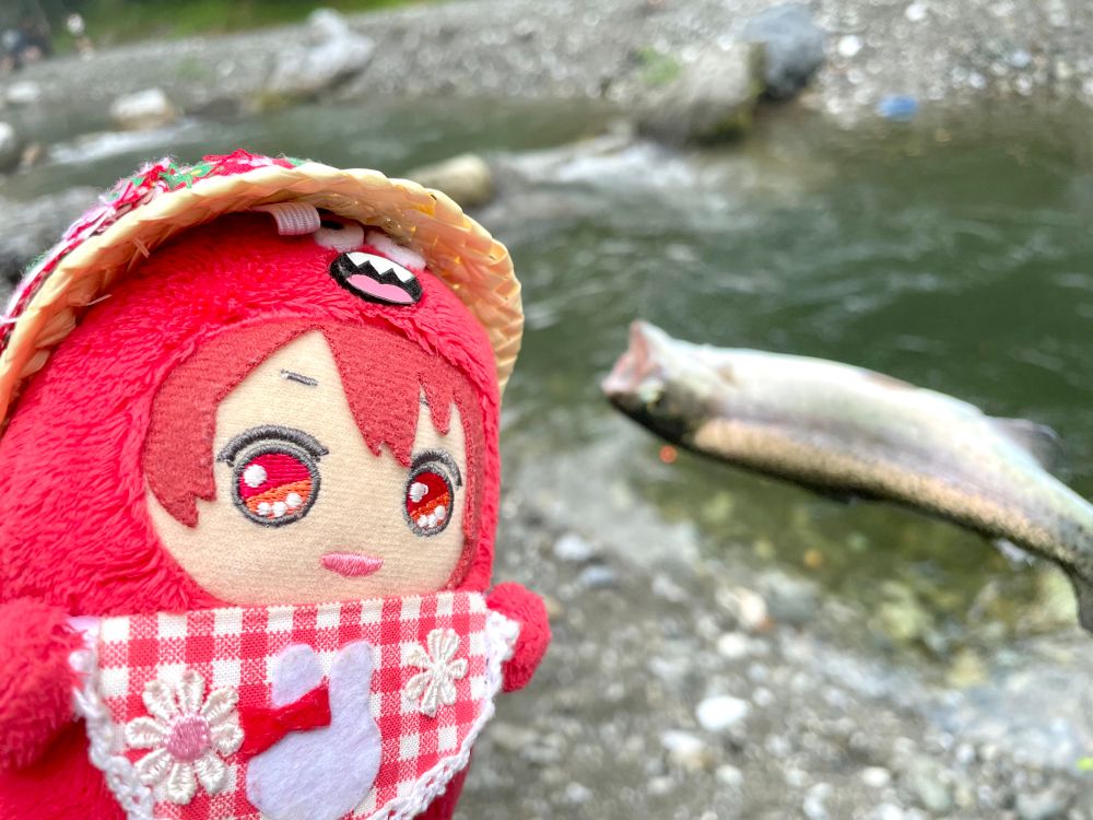 モンりくとマス釣り