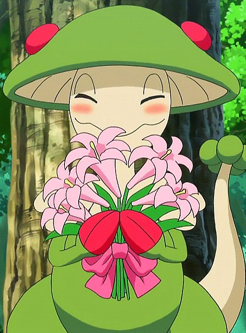 A gif of the pokemon Breloom holding a bouquet of flowers from the anime
