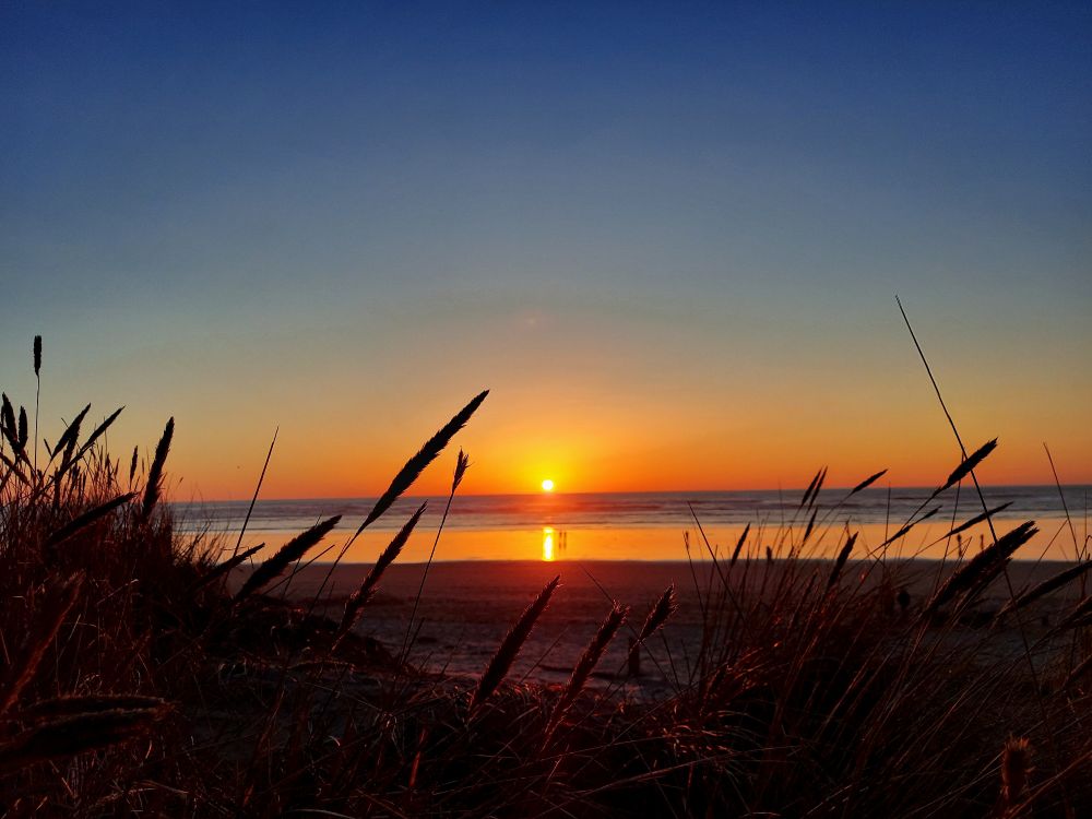 The sun just before setting behind the ocean with the last light catching the beach grass.