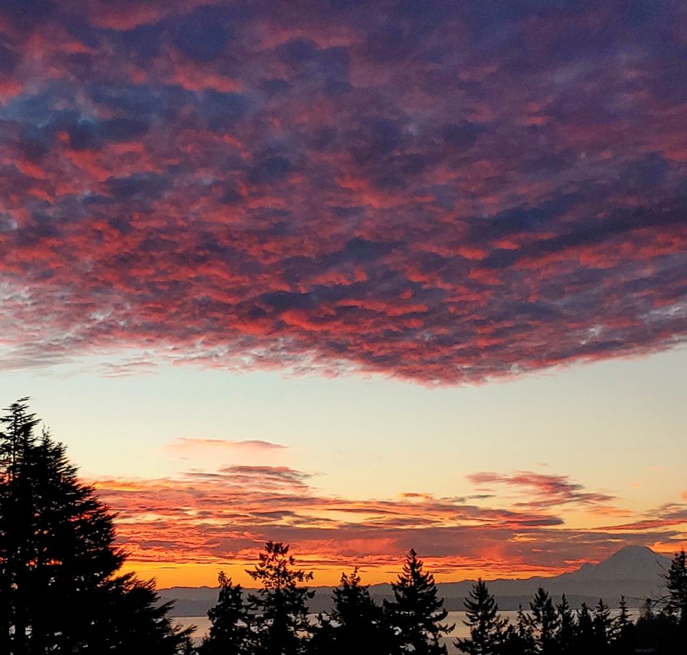 Sunrise of pink and orange clouds over the water, with evergreens in the foreground and Mt Rainier in the distance. 