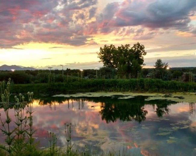 Purple and pink clouds just after sunset over a pond near the Colorado front range.
