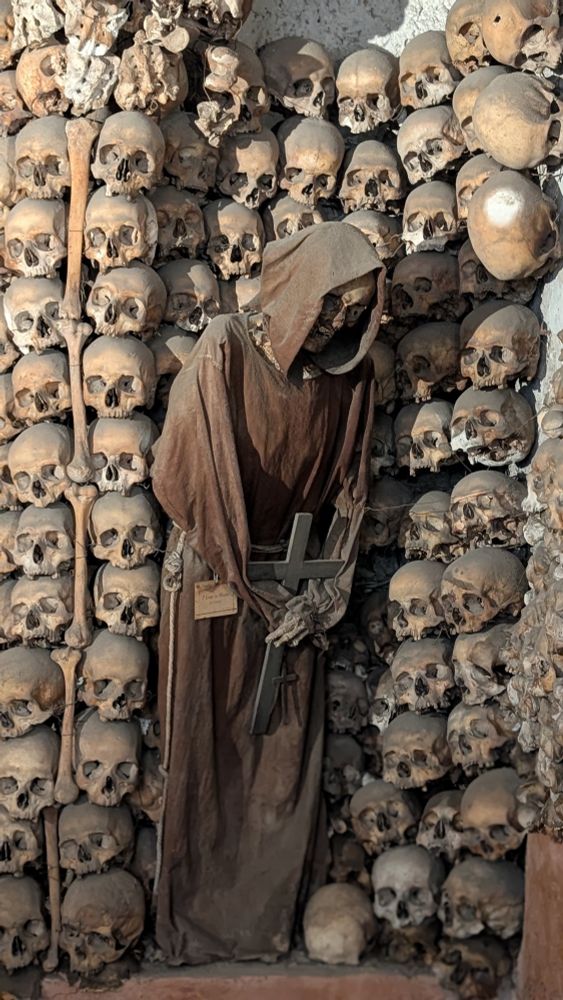 Bones and a robed monk made of bones. 