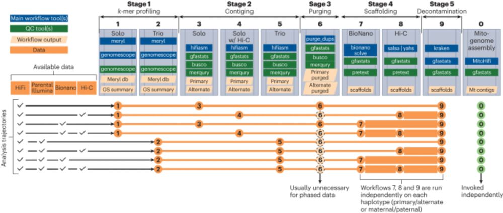 Scalable, accessible and reproducible reference genome assembly and evaluation in Galaxy - Nature Bi...