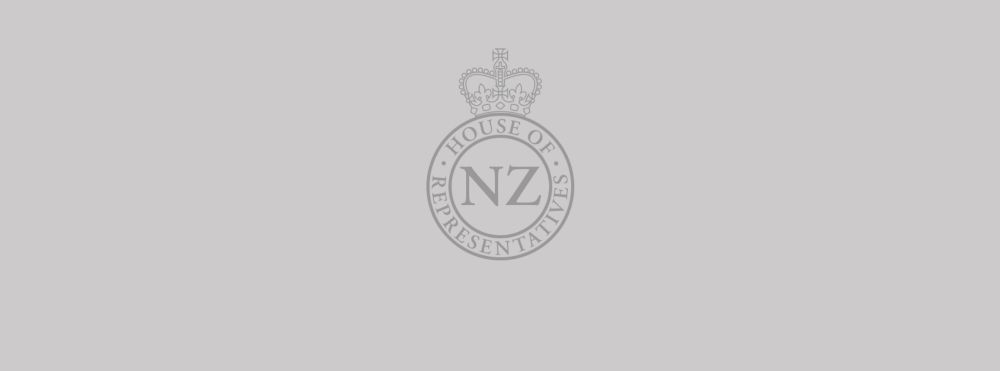 Local Government (Electoral Legislation and Māori Wards and Māori Constituencies) Amendment Bill - New Zealand Parliament