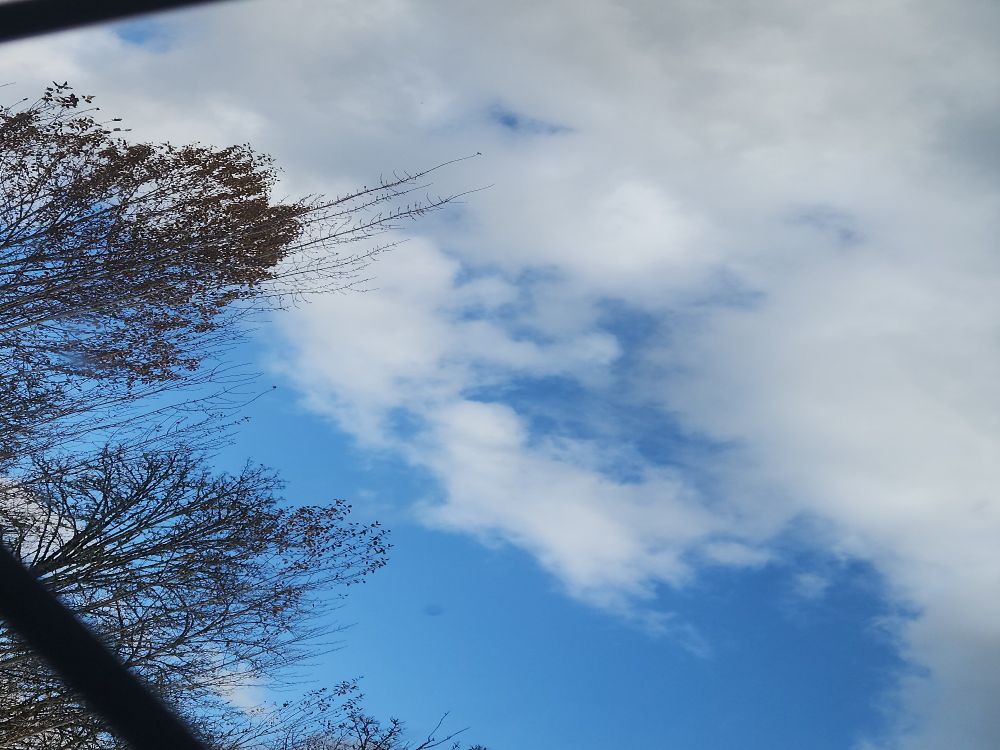 Its Bork day! Image is of a Blue Sky outside my window :)