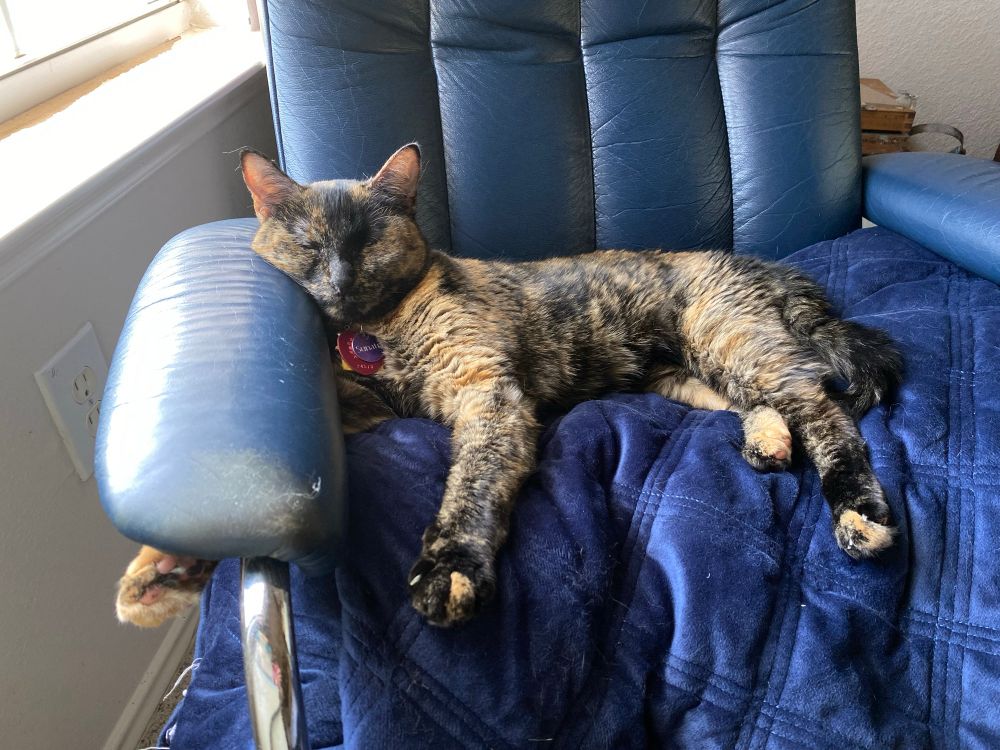 A photo of a tortoiseshell cat snoozing in a blue chair on a blue quilted blanket. Cat’s chin and cheek are on the arm rest. Limbs are all stretched out with front right paw poking out underneath the open style arm rest 