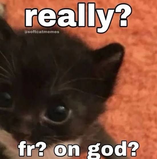 An up close photo of a kitten with text that says “really? fr? on god?”