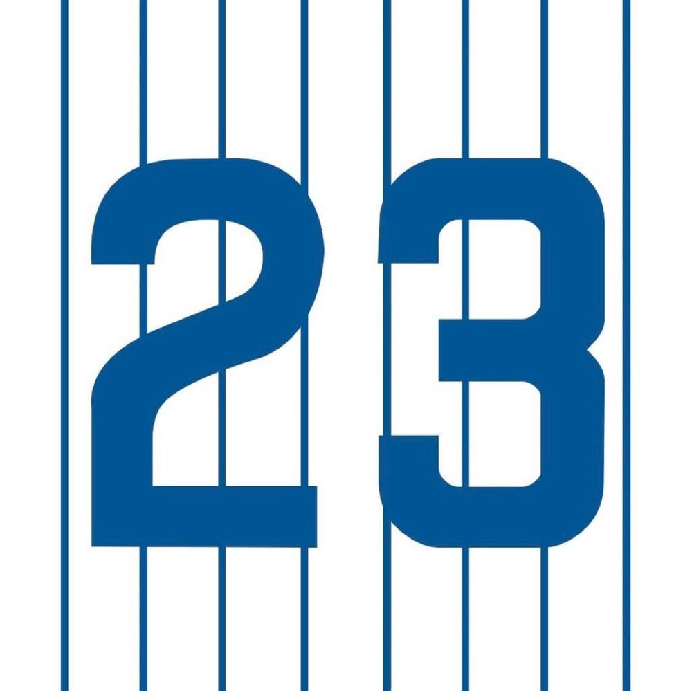 A white pinstriped Chicago Cubs 1984 home jersey, number 23. 