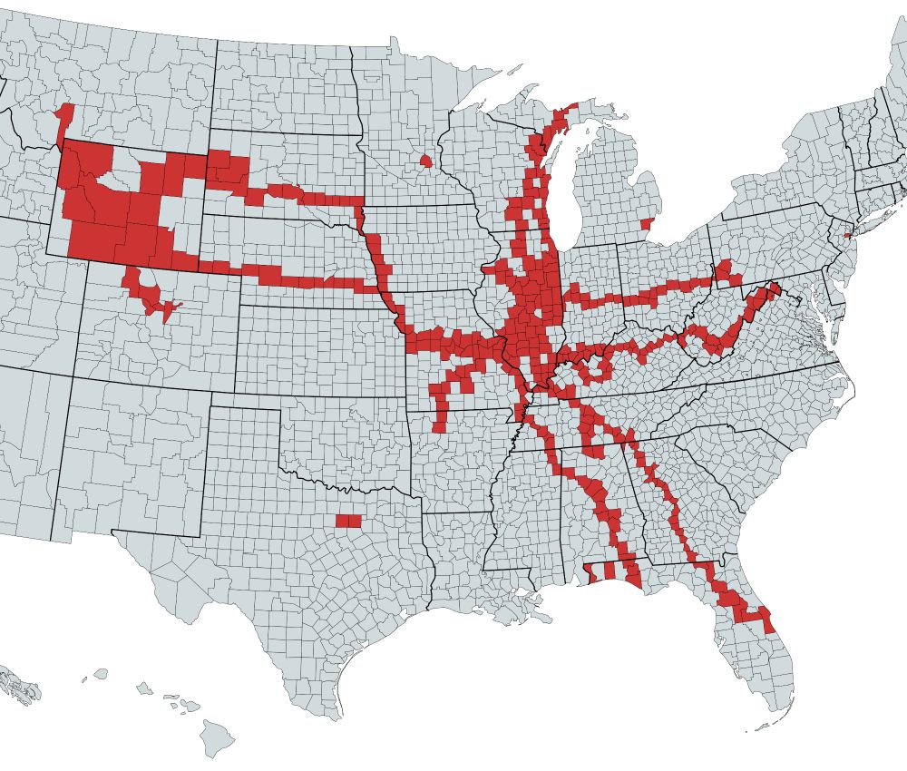 Same map but zoomed in on my travels and with no highways shown