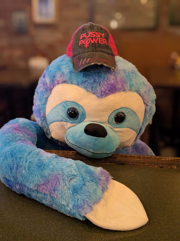 Giant sloth stuffy with a hat saying 