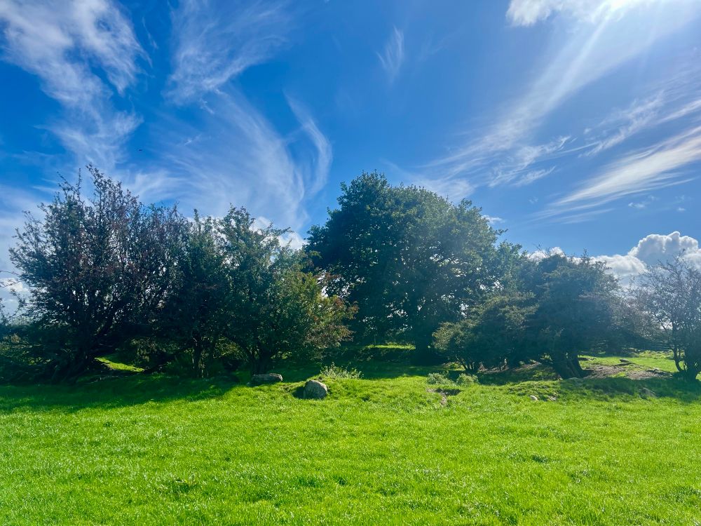 A cool ring fort in County Cork