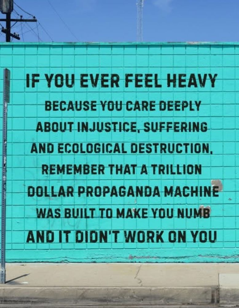 A screenshot of a post previously from Greenpeace. It’s a photo of a blue fence with black writing on top. The writing says:
‘If you ever feel heavy because you care deeply about injustice, suffering and ecological destruction. Remember that’s trillion dollar propaganda machine was built to make you numb and it didn’t work on you. ‘