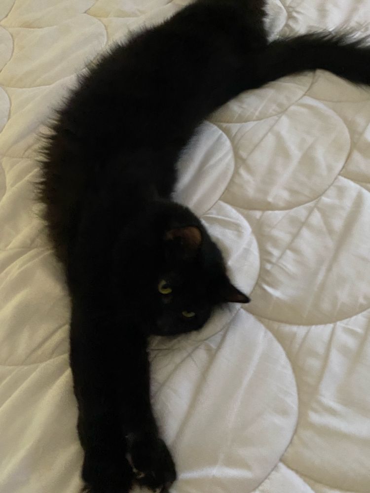 The reason for the delay for putting the clean sheets on the bed. 