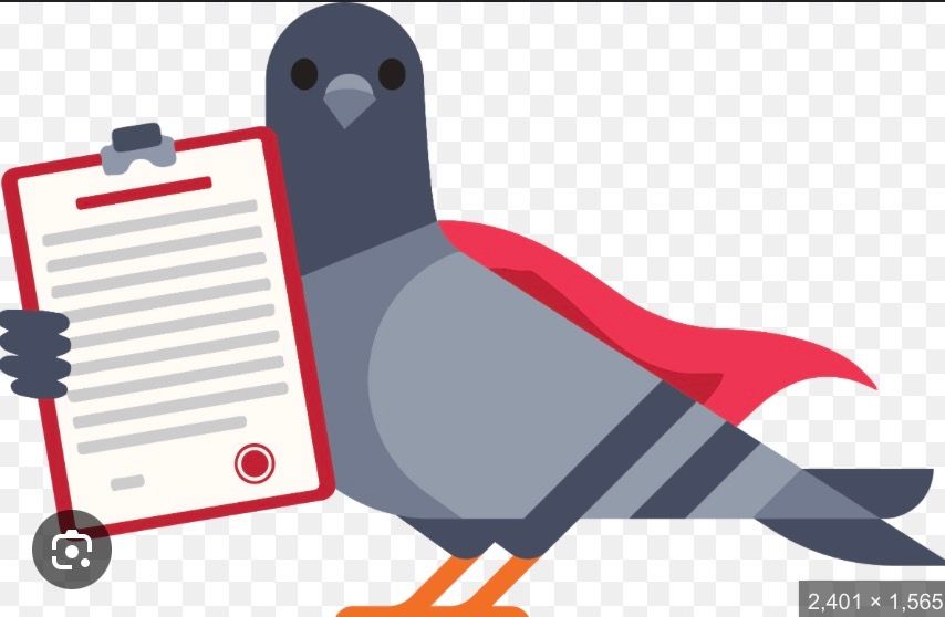 The BOE grey cartoon pigeon now dressed in a little superhero cape holding a clipboard - this was for recruitment to volunteer as a poll worker.  