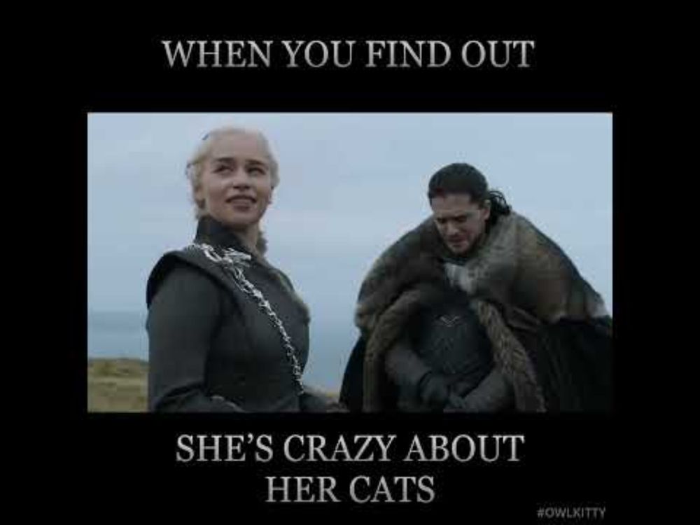 Game of Thrones - Starring my cat OwlKitty