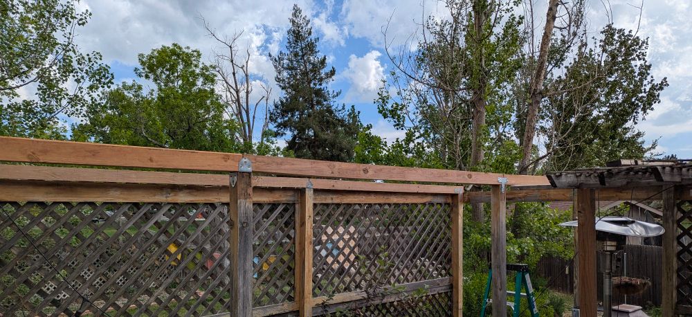 Boring image showing the new timbers installed to support the new roof structure of a pergola 