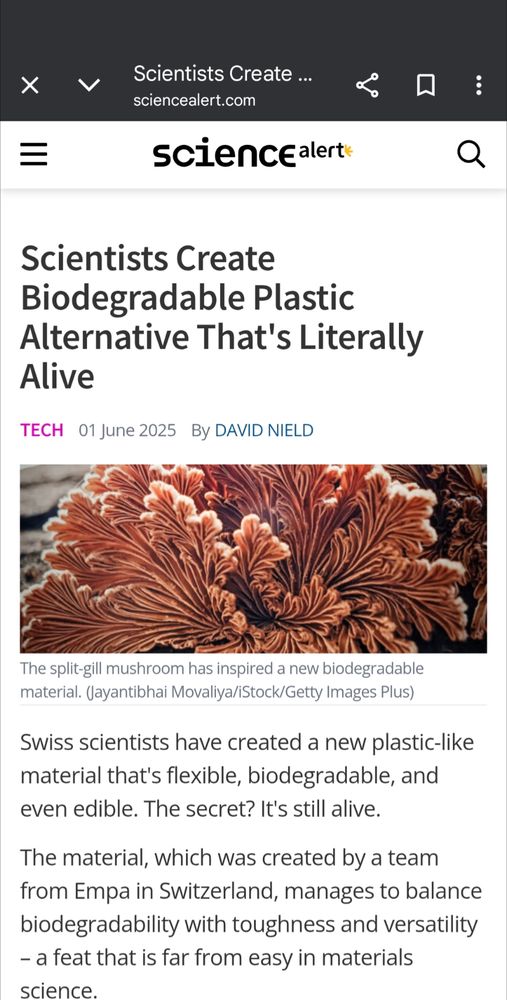 Article Headline: Scientists create biodegradable plastic alternative that's literally alive