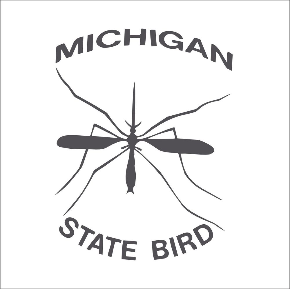 Michigan State bird