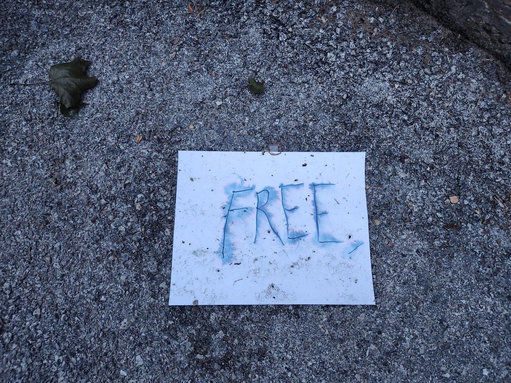 Dirty piece of paper on the pavement that says free