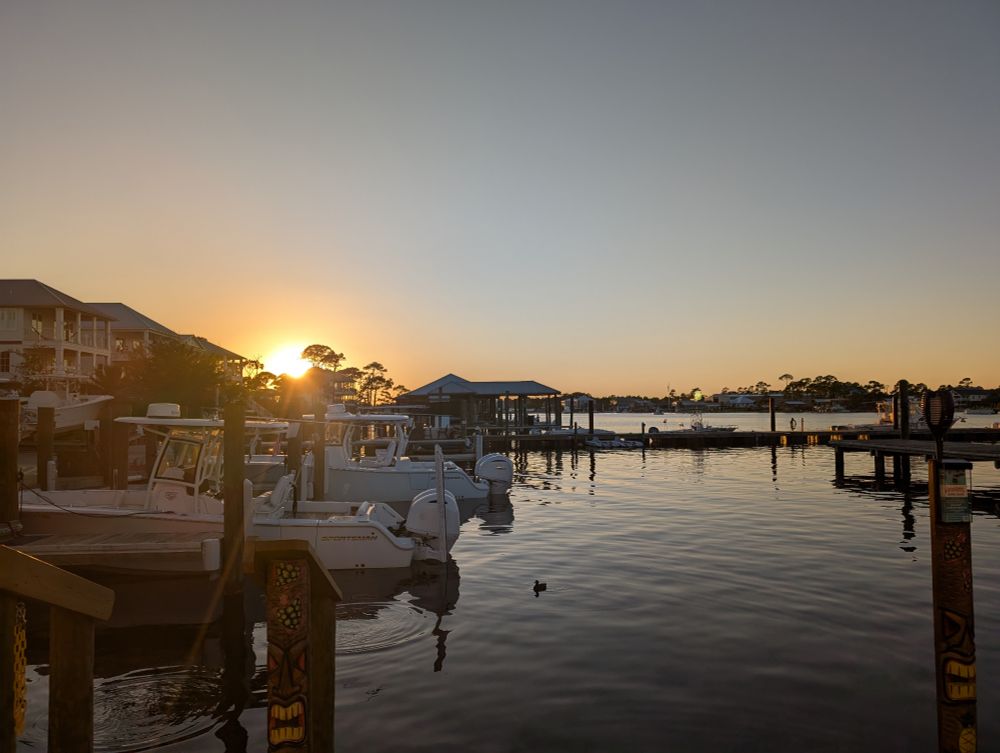 A dock, boats, a duck, and the setting sun in Alabama