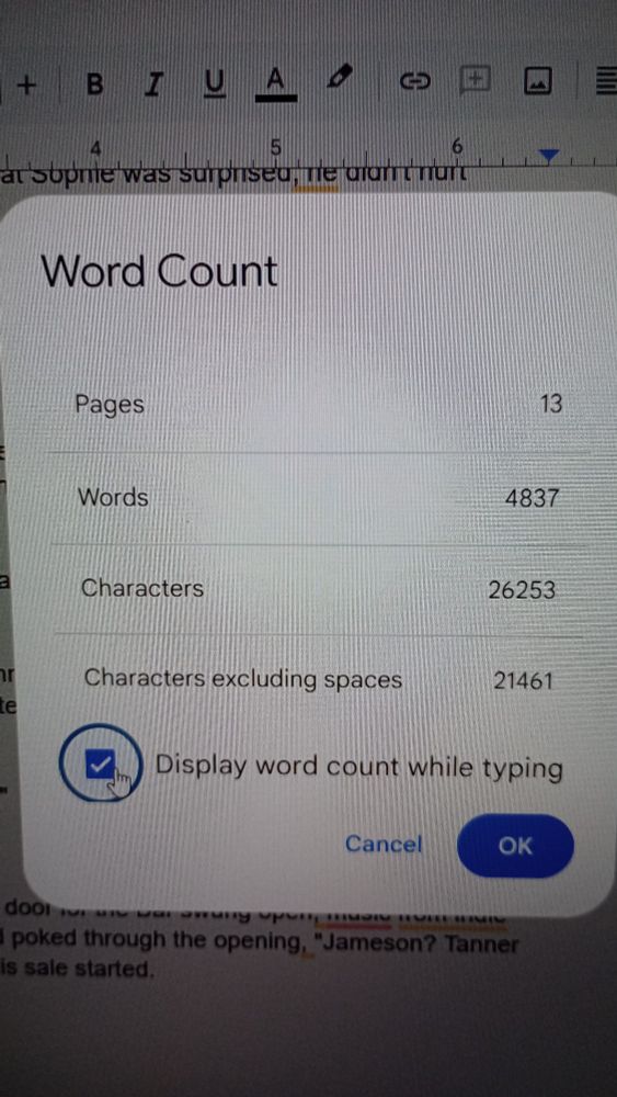 Computer pop up that reads: word count 4837
13 pages
26251 characters
