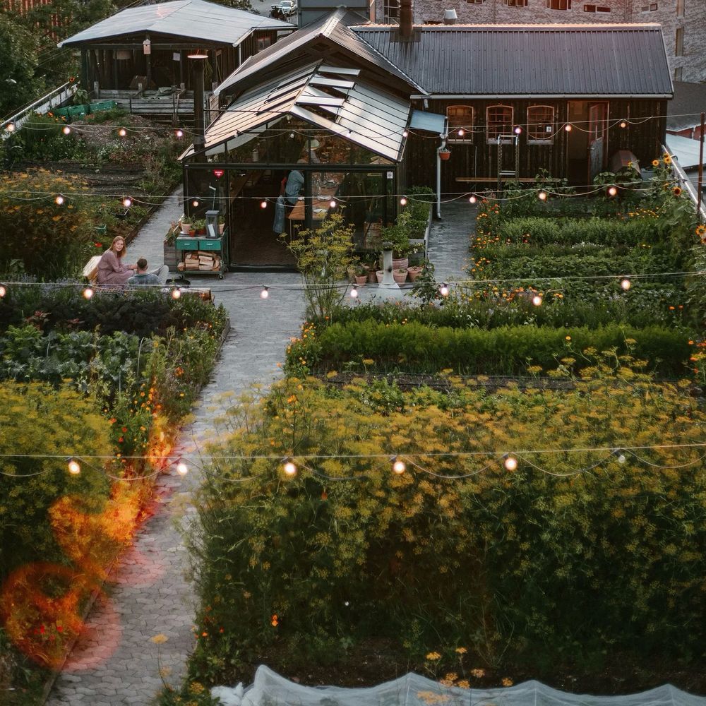 Gro Spiseri in Copenhagen, Denmark