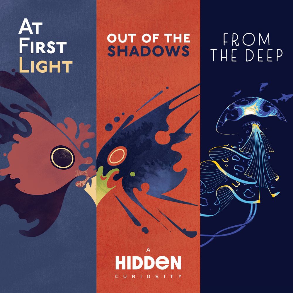 A Square with three vertical stripes each featuring a different concert artwork. 

On the left, "At First Light" featuring a red owl face on a grey background. 

In the centre, "Out of the Shadows" featuring an angular blue bird face on a red background. 

On the right, "From the Deep" featuring a blue and yellow jellyfish on an indigo background.

At the bottom in white is the text "A Hidden Curiosity".