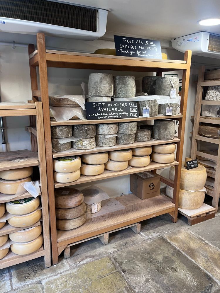 Rack of maturing cheeses at the Courtyard Dairy. 