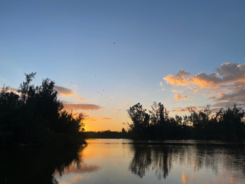 a lovely sunset over the lake with birds in the background