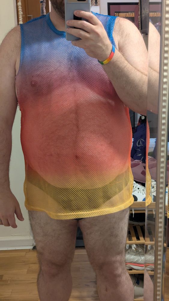 Mirror selfie showing the outfit of a rainbow fishnet tanktop over a dark blue speedo