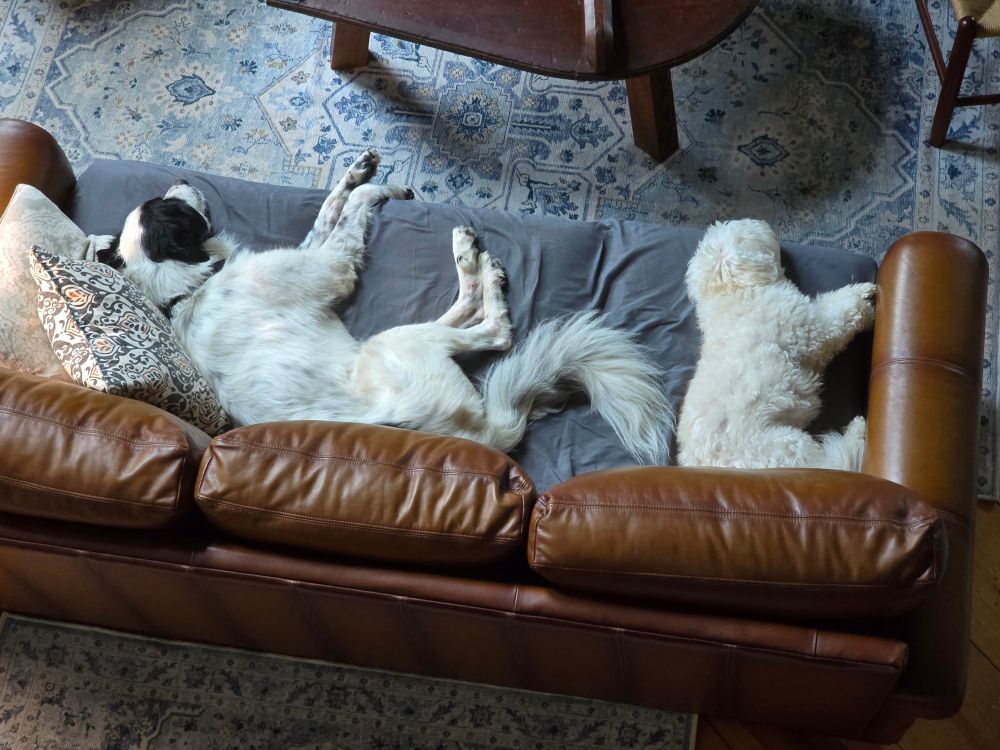 Ian and Oscar 