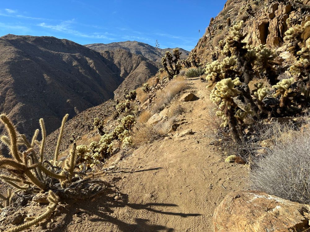 High desert landscape hiking trail with interesting cactus plants in foreground. 