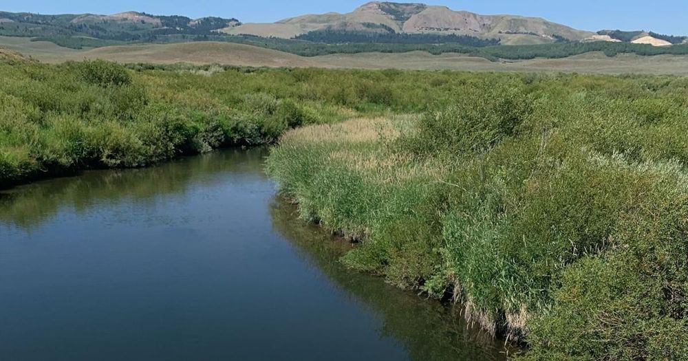 Alleged body in Blackfoot River turns out to be life-size silicone female companion doll