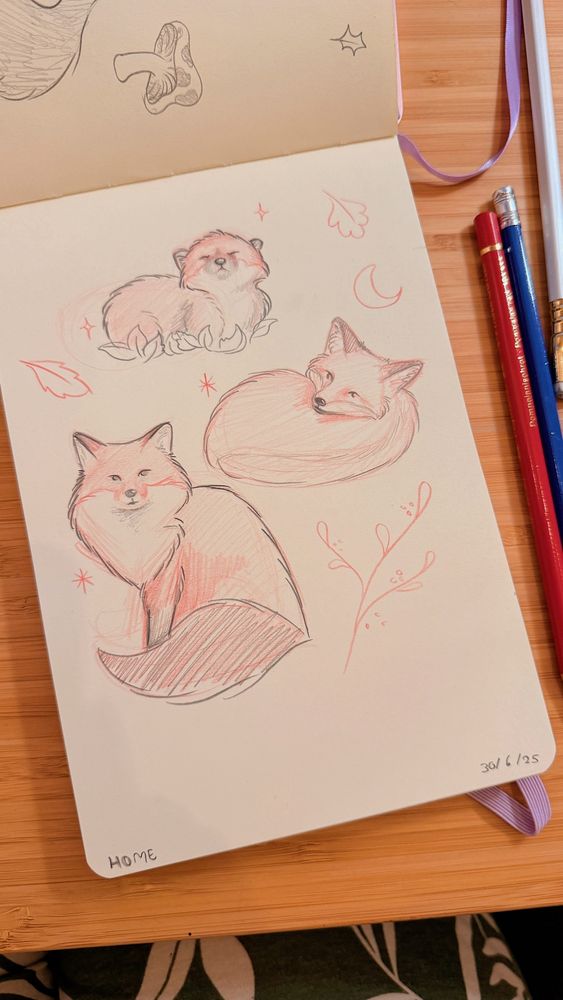 A sketchbook page featuring foxes in red and black pencil sketches