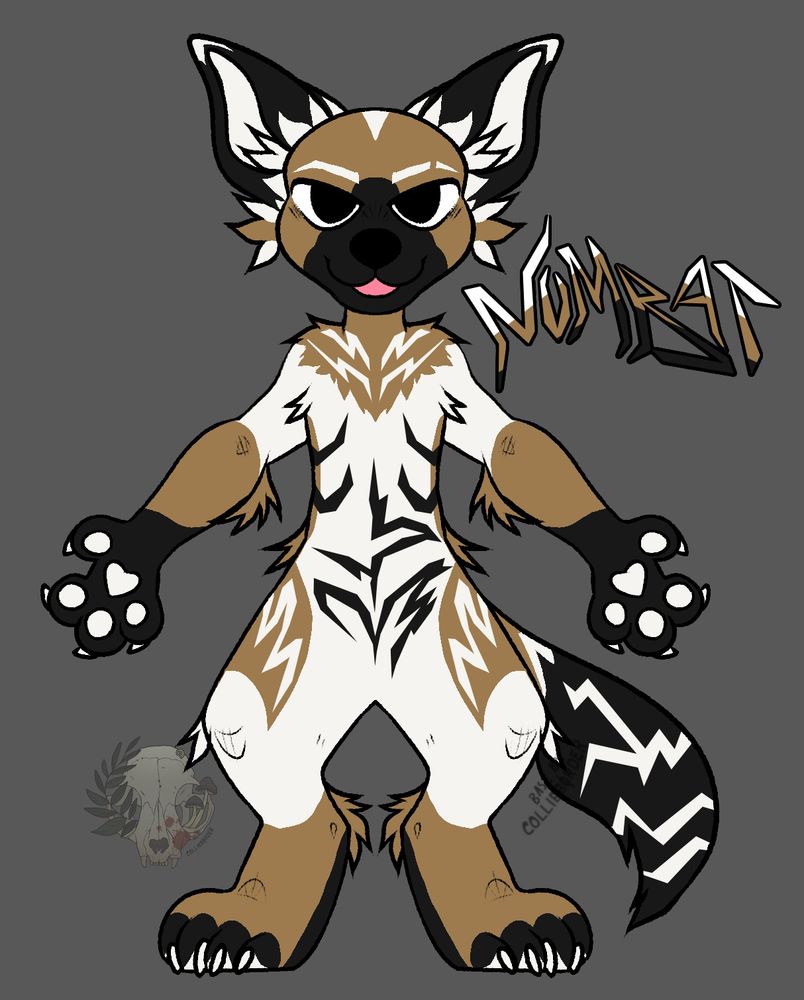 front view of numbat, base by collieb0rder