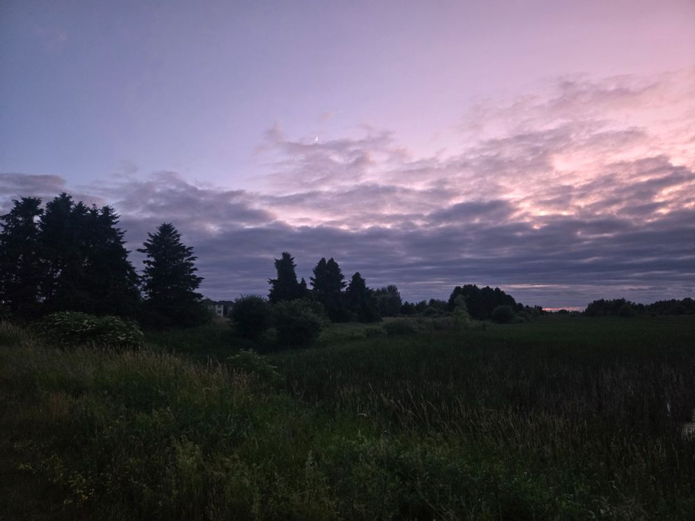 Purple clouds at sundown, over trees and grasses in Kanata.