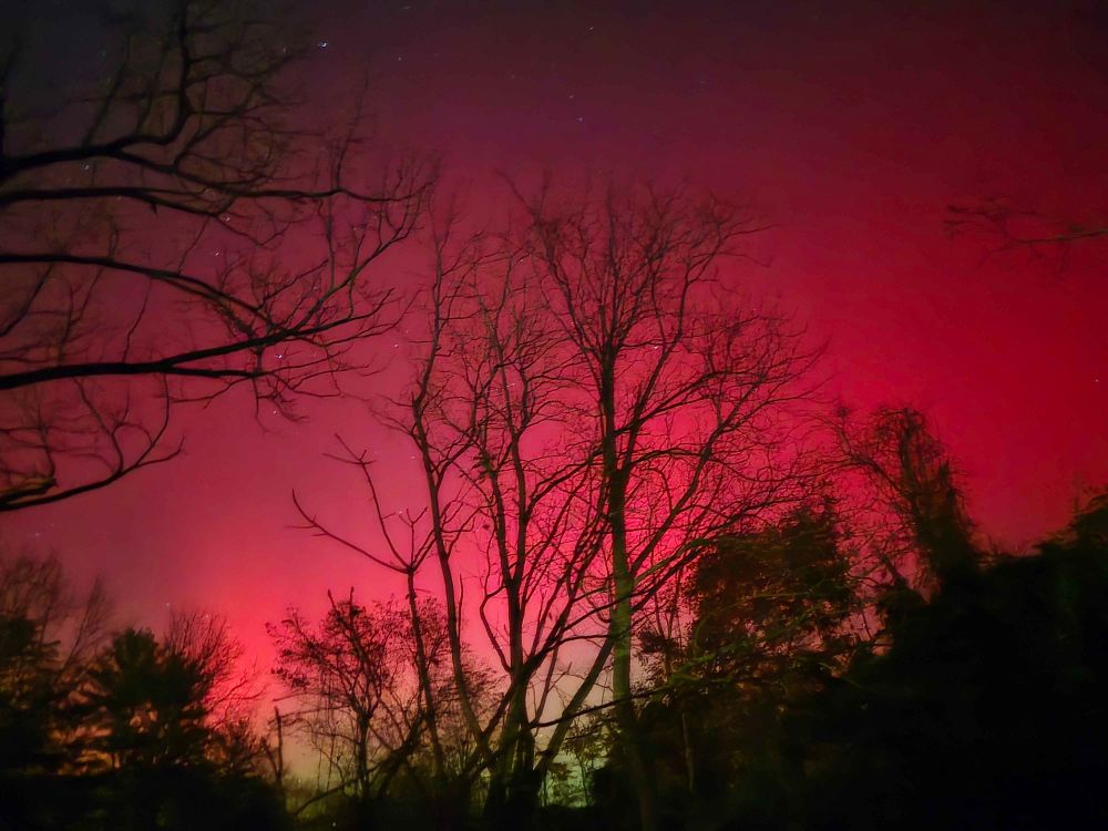 Photo of my backyard at night, though the night sky is ablaze in red and green, so much so that it hardly seems like nighttime, were it not for the visible stars.