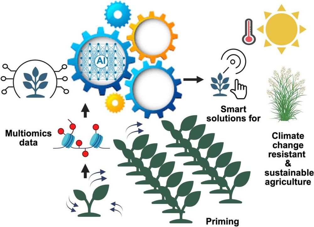 This diagram illustrates how artificial intelligence and machine learning can predict plant behavior in response to environmental stress by modeling molecular regulatory networks of plant stress responses. 