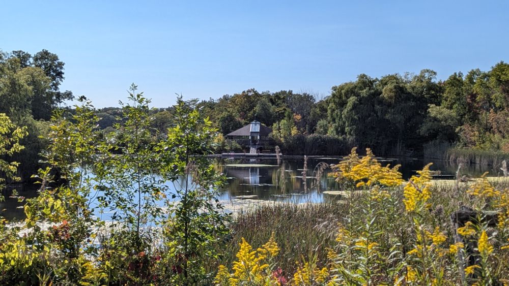 The Raymond Moriyama pavilion at the Koffler Scientific Reserve, with goldenrods in the foreground, a pond, and willows fringing the pond.